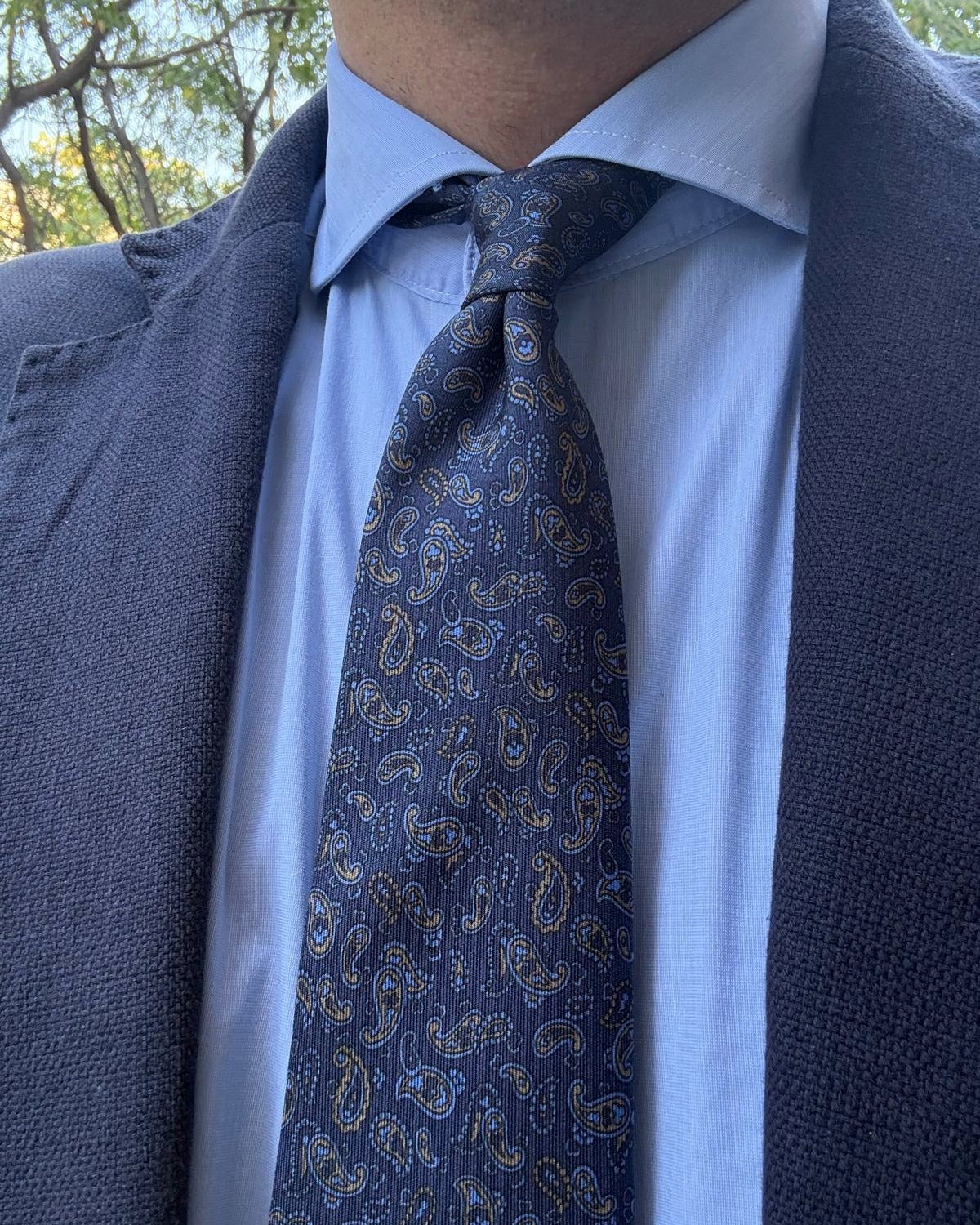 Corbata de seda Veronese