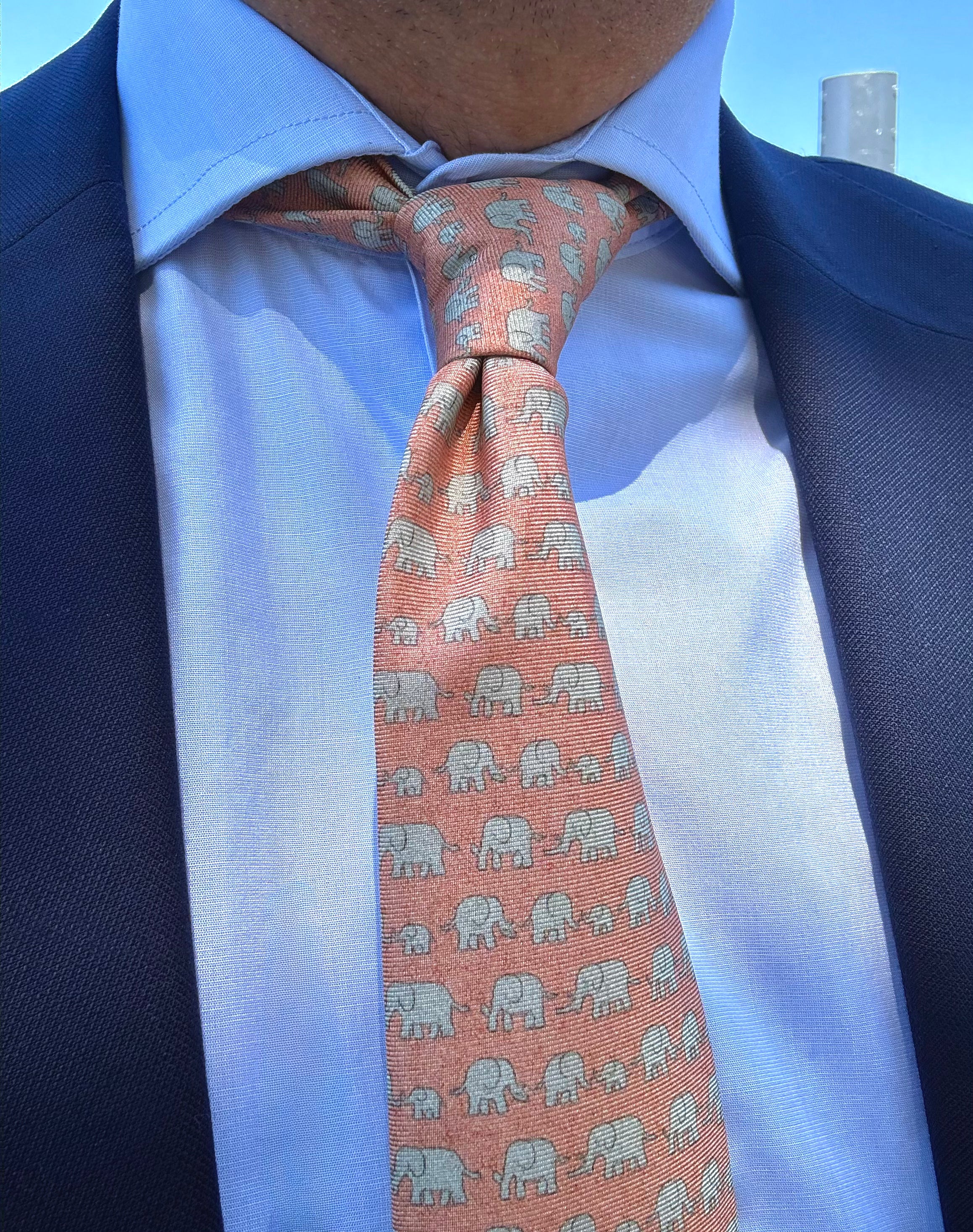 Corbata de seda L'elefante