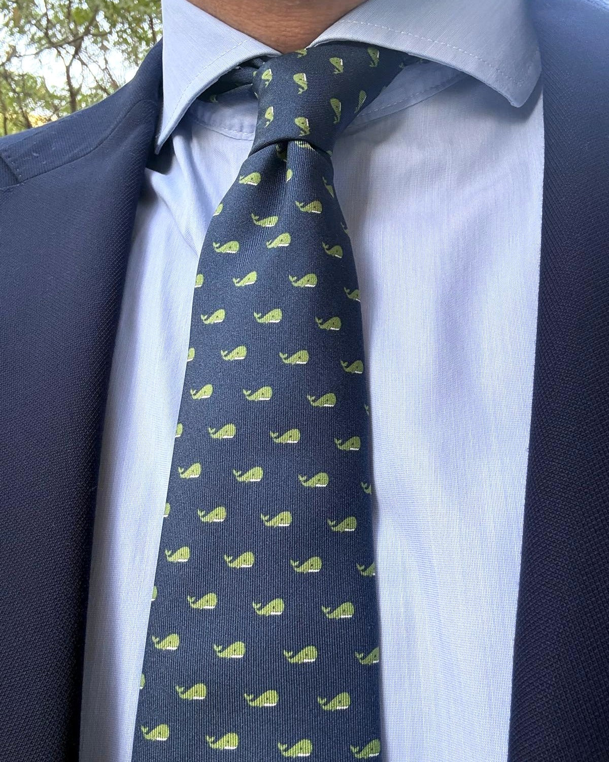 Corbata de seda Carracci
